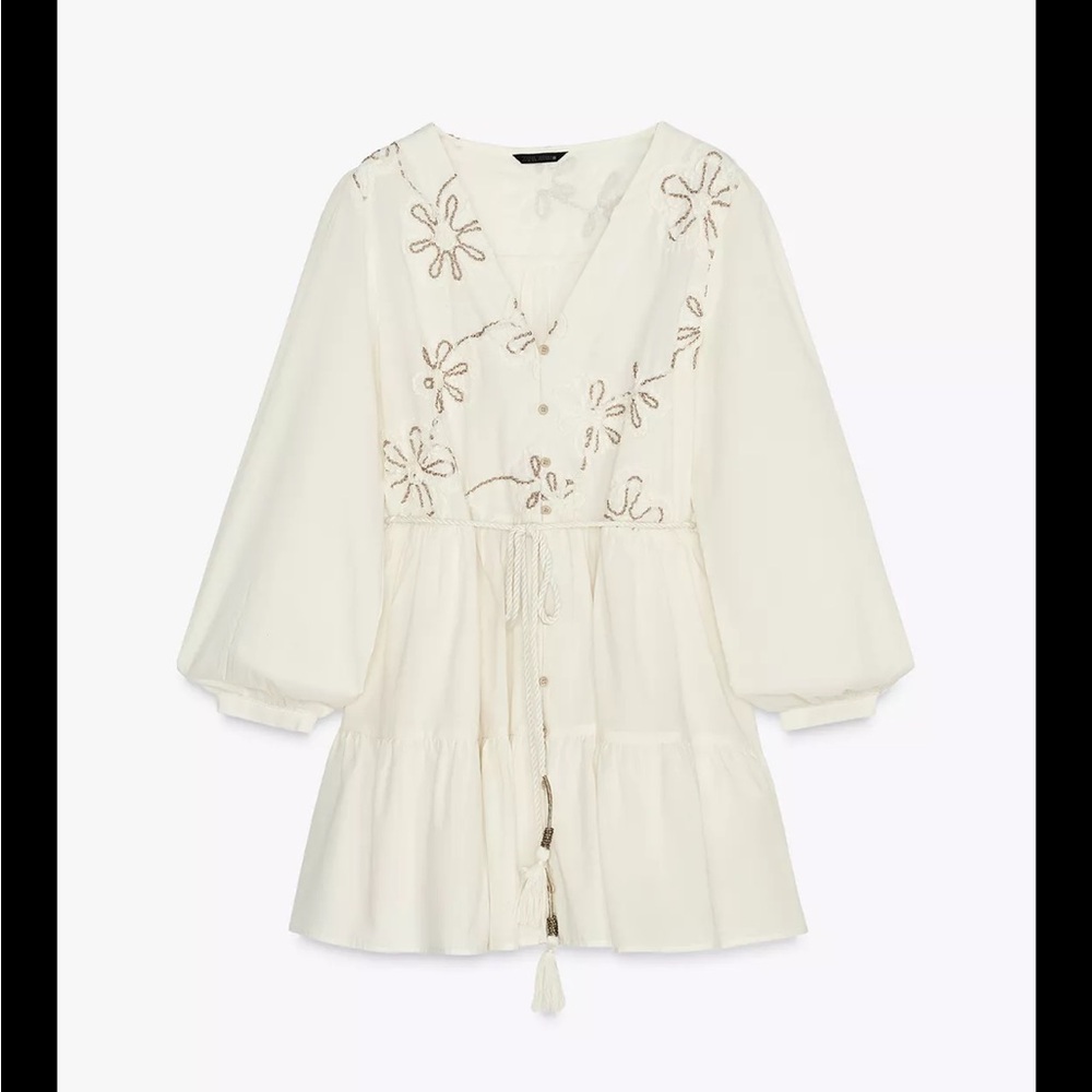 Zara Embroidered Floral Mini Dress, S